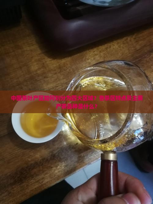 中国茶叶产区如何划分为四大区域？各茶区特点及主要产茶品种是什么？