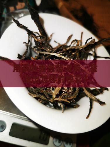 用茶叶壶泡普洱茶，会泡出怎样的惊喜？