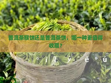 普洱茶猴饼还是普洱茶饼，哪一种更值得收藏？