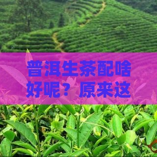 普洱生茶配啥好呢？原来这样泡才够味！