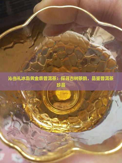 沁当礼冰岛黄金条普洱茶：探寻古树茶韵，品鉴普洱茶珍品