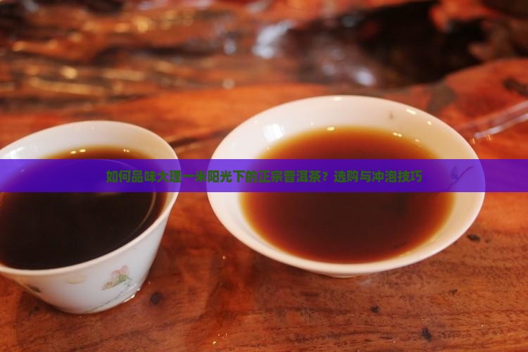 如何品味大理一米阳光下的正宗普洱茶？选购与冲泡技巧