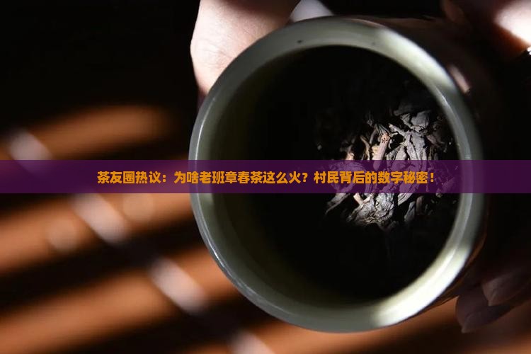 茶友圈热议：为啥老班章春茶这么火？村民背后的数字秘密！