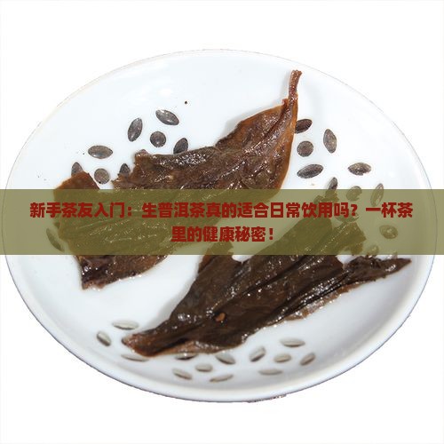 新手茶友入门：生普洱茶真的适合日常饮用吗？一杯茶里的健康秘密！