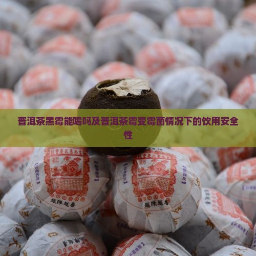 普洱茶黑霉能喝吗及普洱茶霉变霉菌情况下的饮用安全性