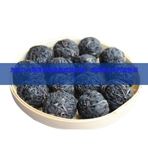 为何六大茶区普洱茶如此受欢迎？市场痛点与行业热词！