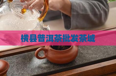 横县普洱茶批发茶城