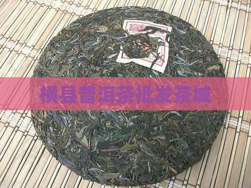 横县普洱茶批发茶城