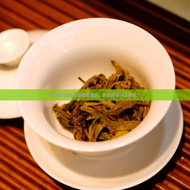 你每天都喝的云南普洱茶，到底藏着什么秘密？