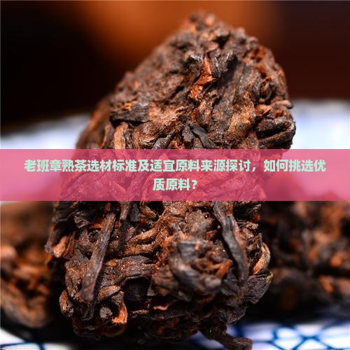 老班章熟茶选材标准及适宜原料来源探讨，如何挑选优质原料？