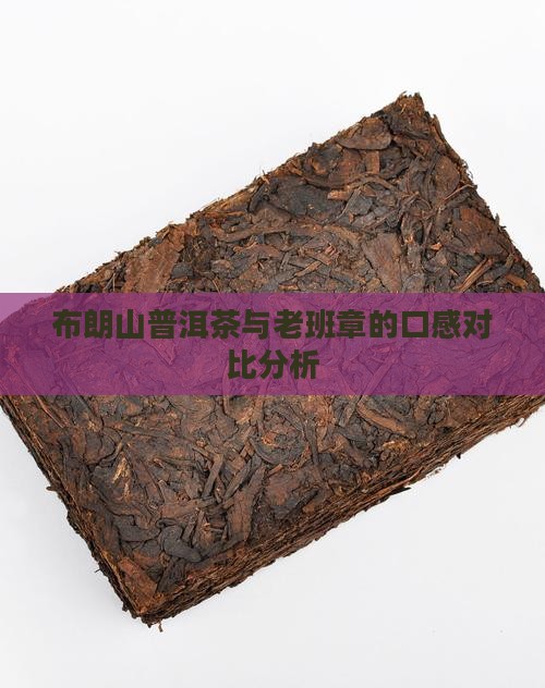 布朗山普洱茶与老班章的口感对比分析