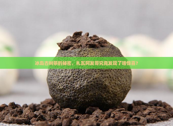 冰岛古树茶的秘密，扎瓦阿发哥究竟发现了啥惊喜？