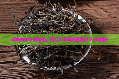 冰岛古树茶的秘密，扎瓦阿发哥究竟发现了啥惊喜？