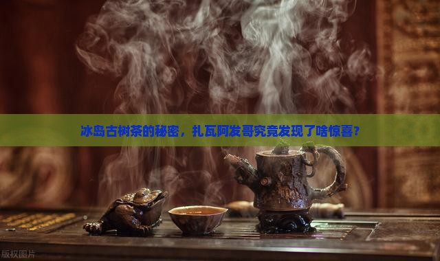 冰岛古树茶的秘密，扎瓦阿发哥究竟发现了啥惊喜？