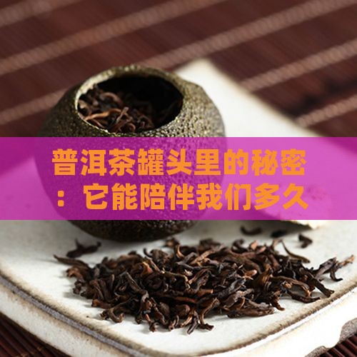 普洱茶罐头里的秘密:它能陪伴我们多久呢? 普洱茶罐头里的秘密:它能陪伴我们多久呢?