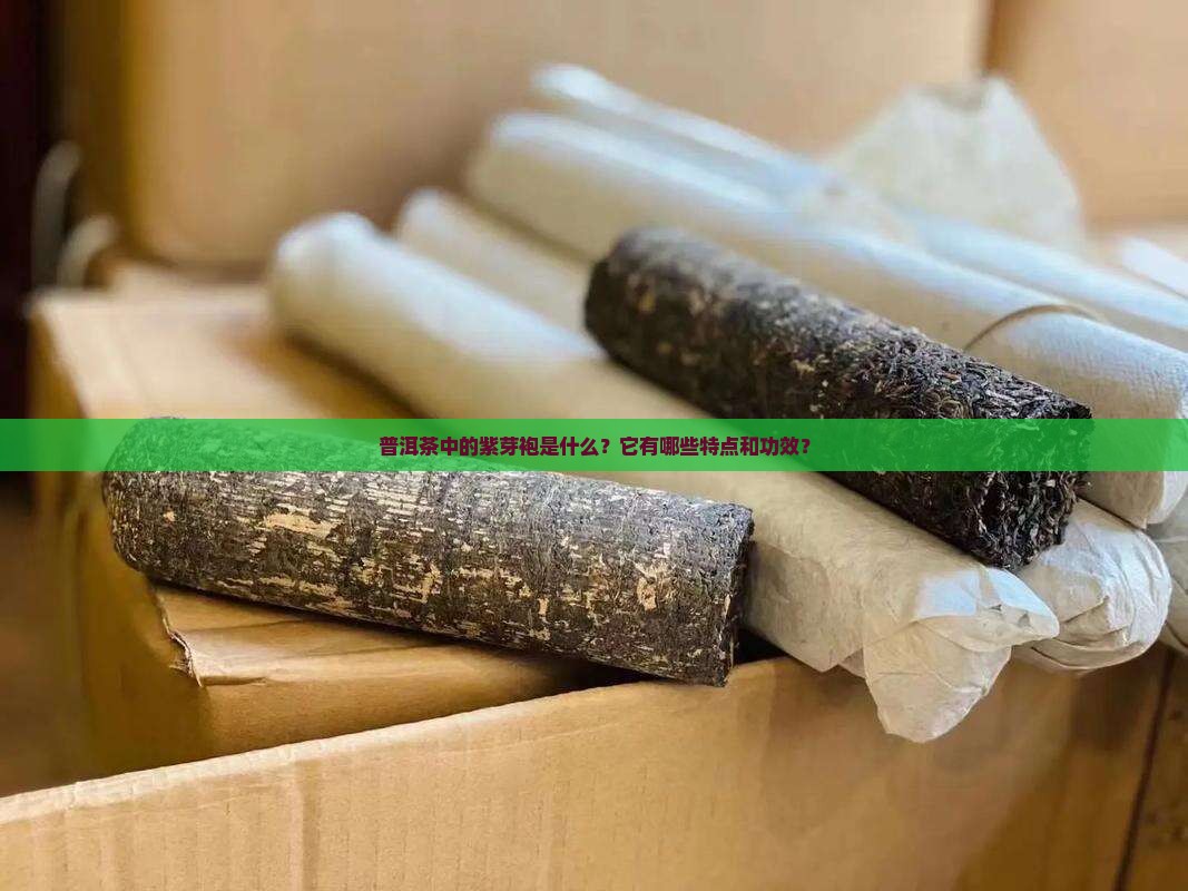 普洱茶中的紫芽袍是什么?它有哪些特点和功效? 普洱茶中的紫芽袍是什么?它有哪些特点和功效?