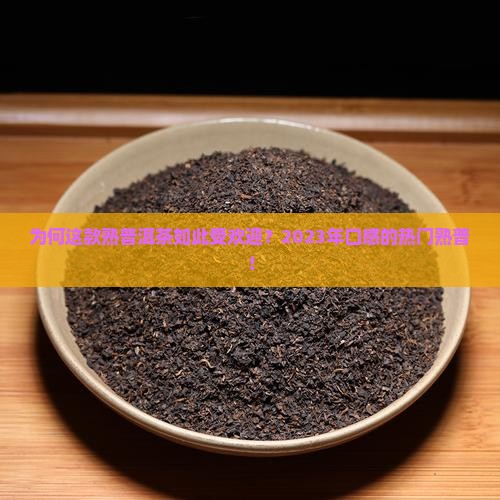 为何这款熟普洱茶如此受欢迎？2023年口感的热门熟普！