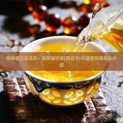 锦屏盛世普洱茶：锦屏盛世城(建设中)与盛世经典茶品介绍