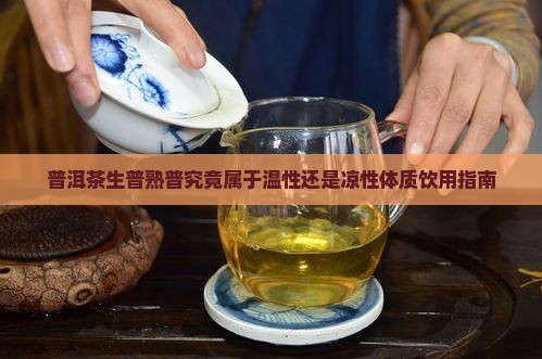 普洱茶生普熟普究竟属于温性还是凉性体质饮用指南
