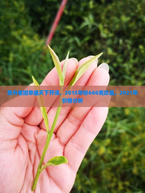 陈升老班章盛天下开汤，2015年份600克珍品，2021年价格分析