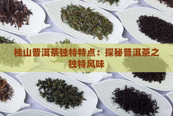 桂山普洱茶独特特点:探秘普洱茶之独特风味 桂山普洱茶独特特点:探秘普洱茶之独特风味