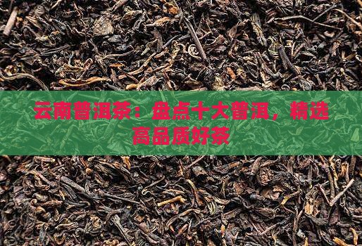 云南普洱茶：盘点十大普洱，精选高品质好茶