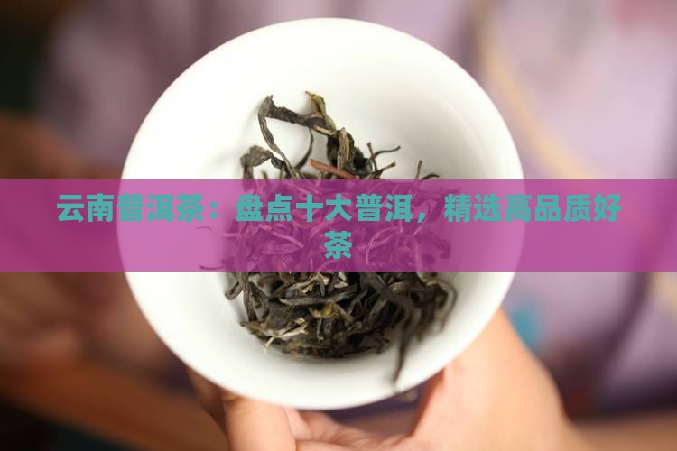 云南普洱茶：盘点十大普洱，精选高品质好茶