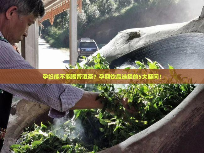 孕妇能不能喝普洱茶？孕期饮品选择的5大疑问！