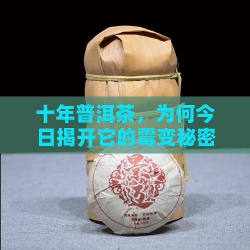 十年普洱茶，为何今日揭开它的霉变秘密？