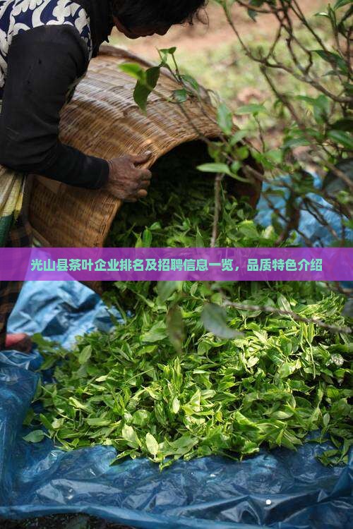 光山县茶叶企业排名及招聘信息一览，品质特色介绍