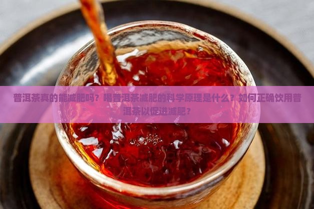 普洱茶真的能减肥吗？喝普洱茶减肥的科学原理是什么？如何正确饮用普洱茶以促进减肥？