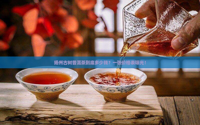 扬州古树普洱茶到底多少钱？一张价格表曝光！