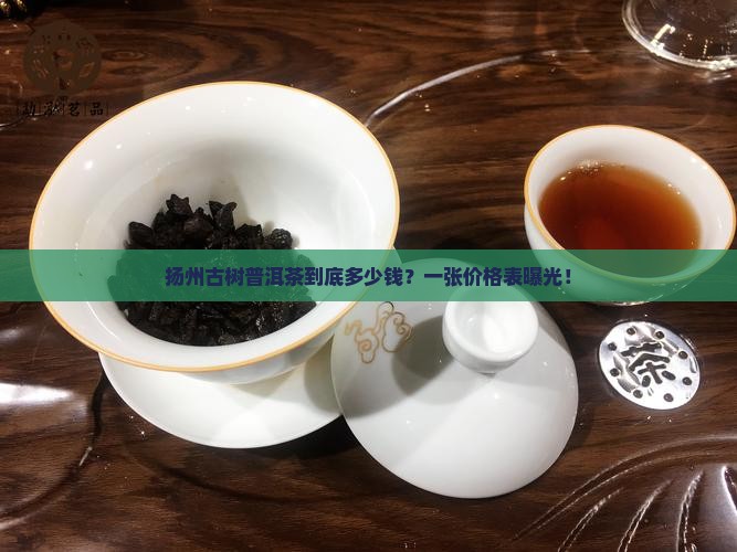 扬州古树普洱茶到底多少钱？一张价格表曝光！