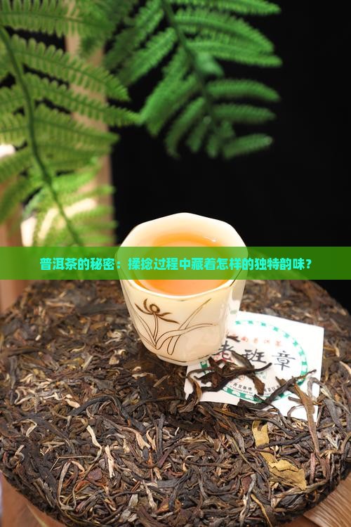 普洱茶的秘密：揉捻过程中藏着怎样的独特韵味？