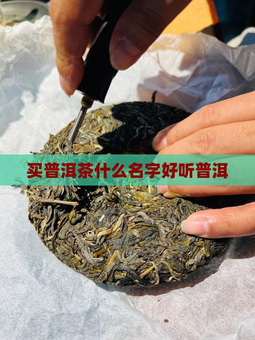 买普洱茶什么名字好听普洱