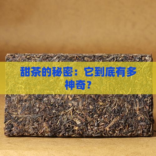甜茶的秘密：它到底有多神奇？