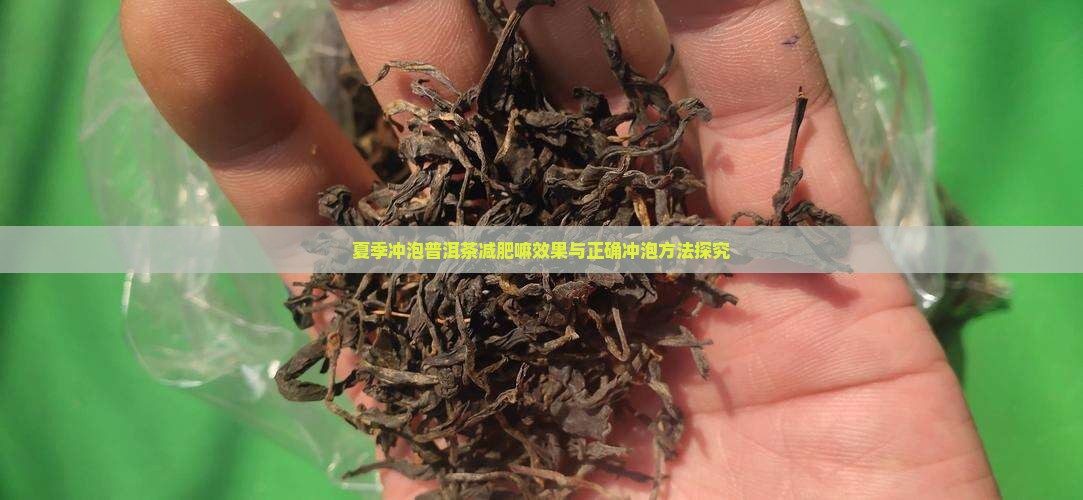 夏季冲泡普洱茶减肥嘛效果与正确冲泡方法探究