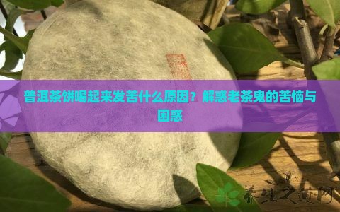 普洱茶饼喝起来发苦什么原因？解惑老茶鬼的苦恼与困惑
