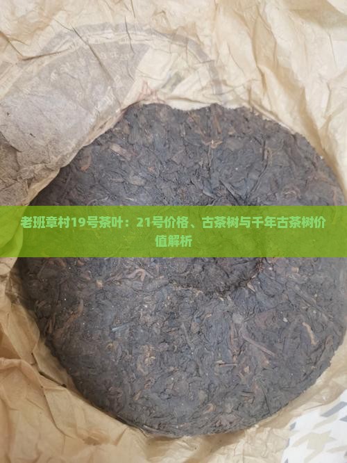 老班章村19号茶叶：21号价格、古茶树与千年古茶树价值解析
