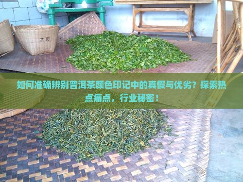 如何准确辨别普洱茶颜色印记中的真假与优劣？探索热点痛点，行业秘密！