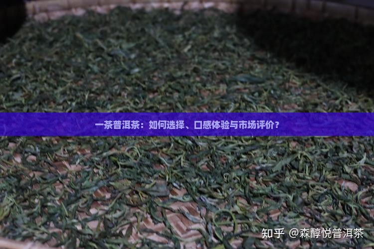 一茶普洱茶：如何选择、口感体验与市场评价？