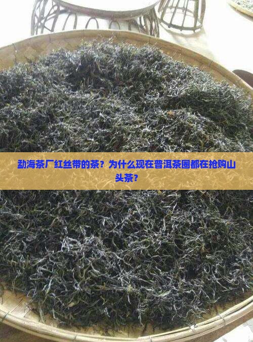 勐海茶厂红丝带的茶？为什么现在普洱茶圈都在抢购山头茶？