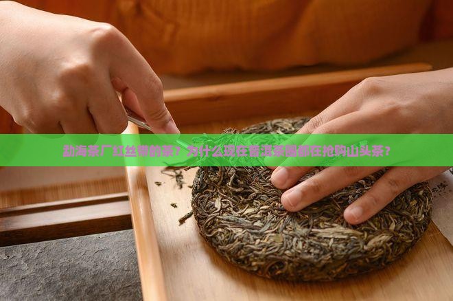 勐海茶厂红丝带的茶？为什么现在普洱茶圈都在抢购山头茶？