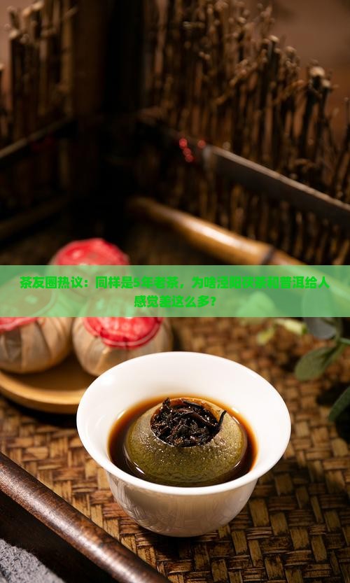茶友圈热议：同样是5年老茶，为啥泾阳茯茶和普洱给人感觉差这么多？