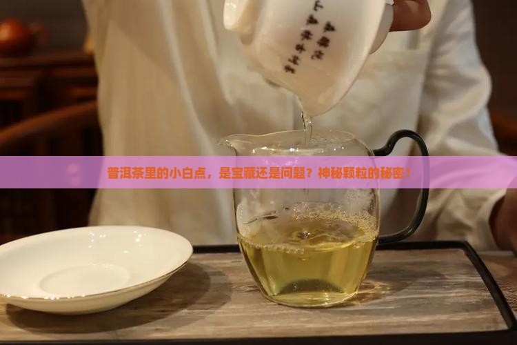 普洱茶里的小白点，是宝藏还是问题？神秘颗粒的秘密！