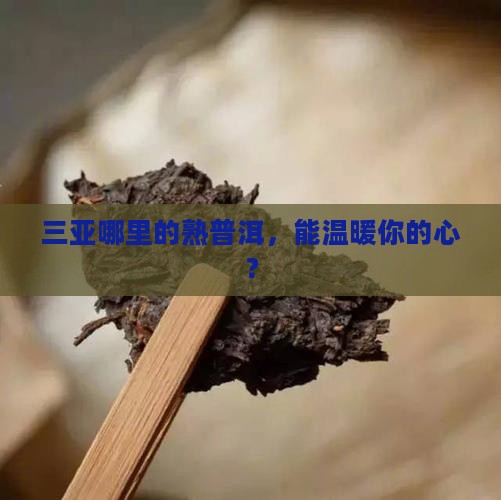三亚哪里的熟普洱，能温暖你的心？