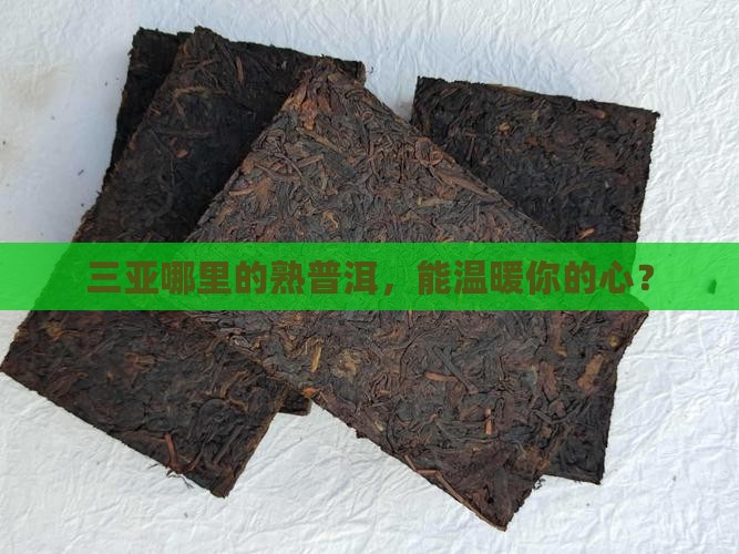 三亚哪里的熟普洱，能温暖你的心？