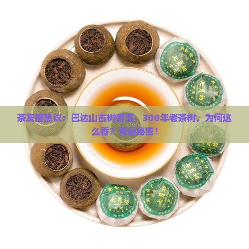 茶友圈热议：巴达山古树普洱，300年老茶树，为何这么香？背后秘密！