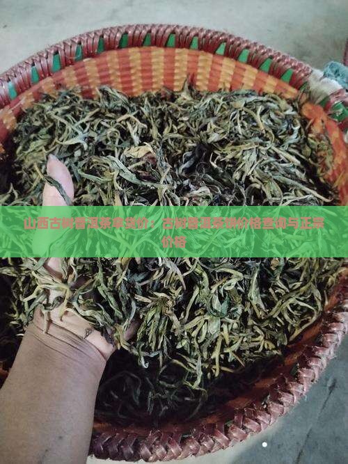 山西古树普洱茶拿货价：古树普洱茶饼价格查询与正宗价格
