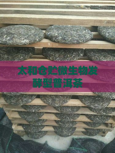 太和仓贮微生物发酵型普洱茶